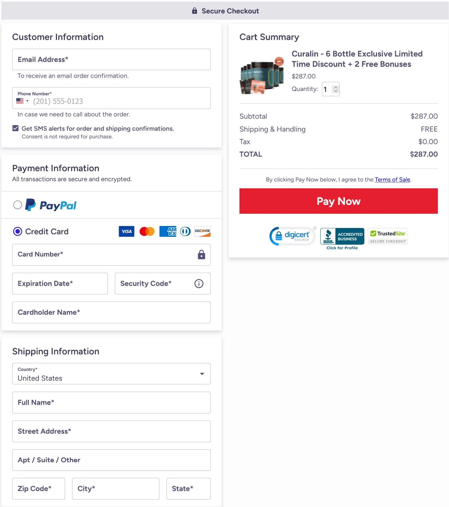 Secure online checkout page with payment and shipping fields.